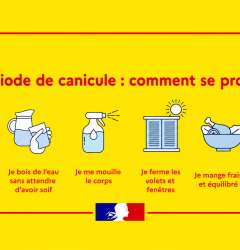 visuel canicule