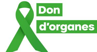 Don d'organes